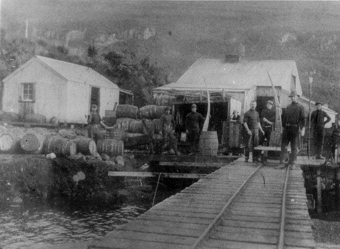 A timber wharf with sheds, barrels and men on Campbell Island