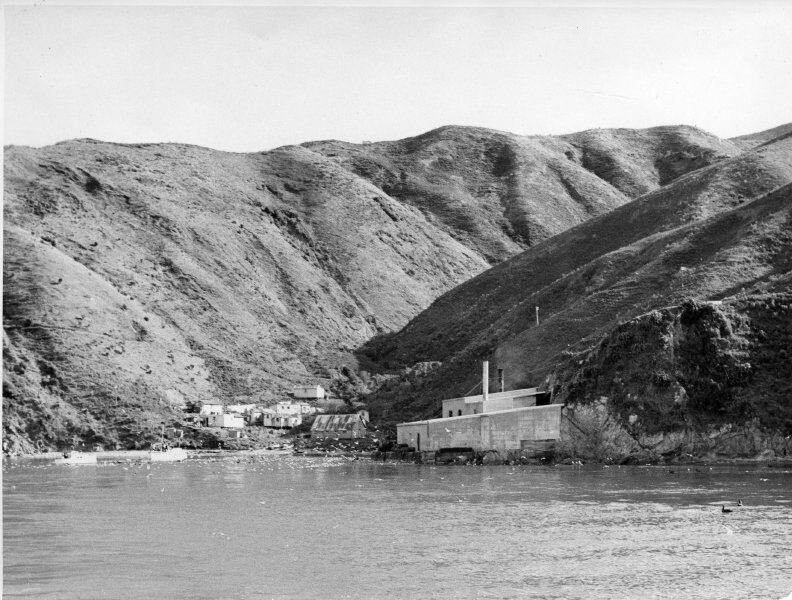 The whaling station buildings in the gully at the head of the bay, photographed from the water