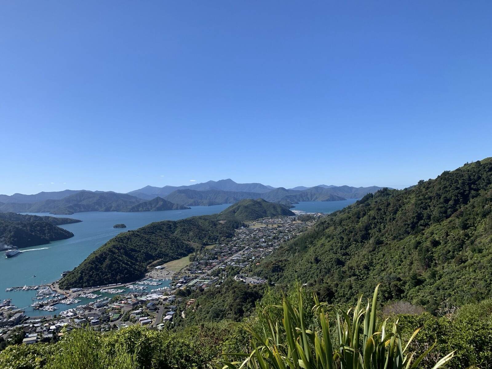 Bush covered hills meeting still water in the Marlborough Sounds